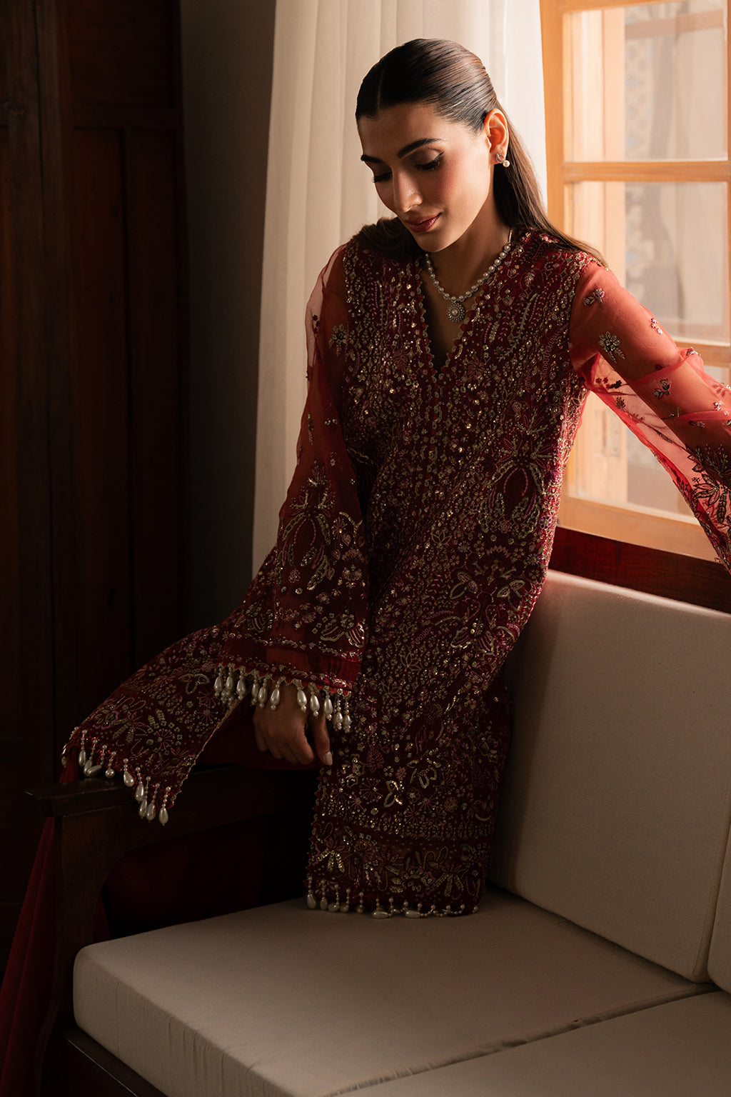 organza Embroidered dress