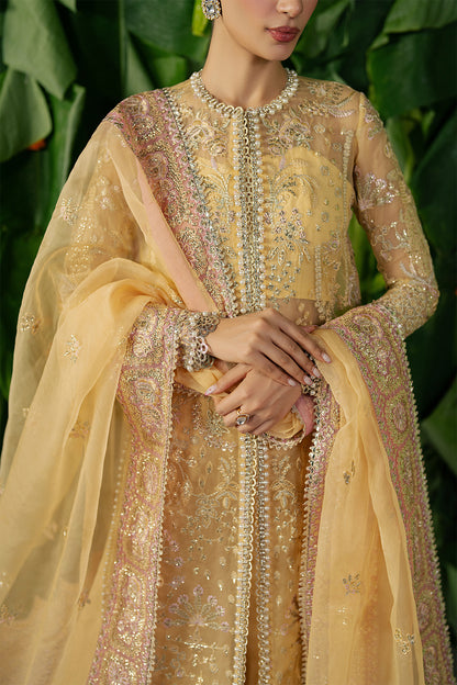 Embroidered Designer Suits 2025