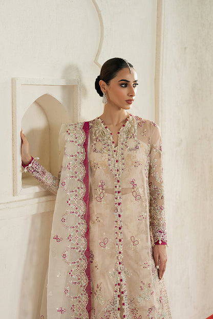 Elegant Dresses for Women Pakistan