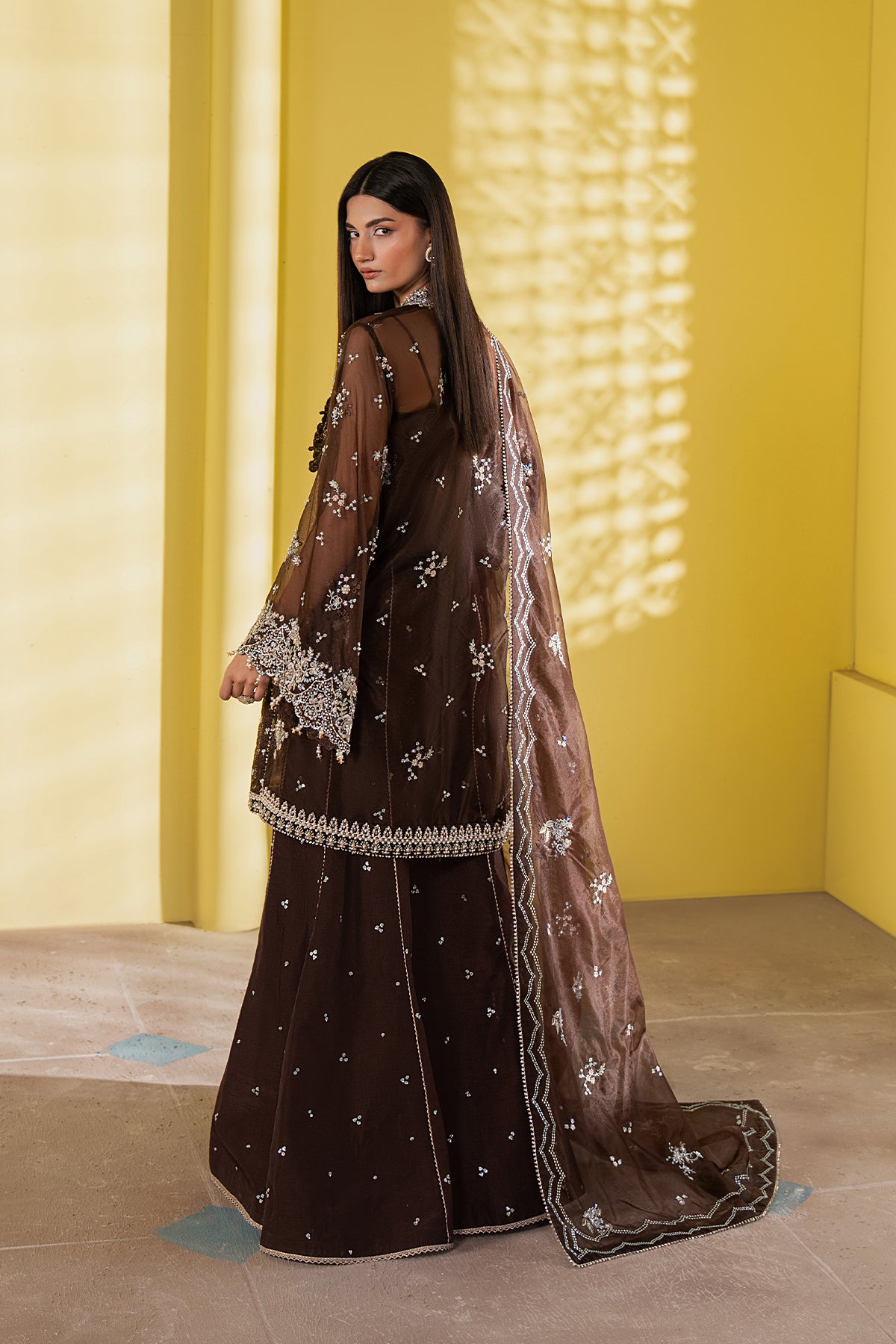 Pakistani luxury dresses