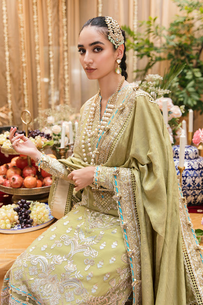 pakistani wedding dress